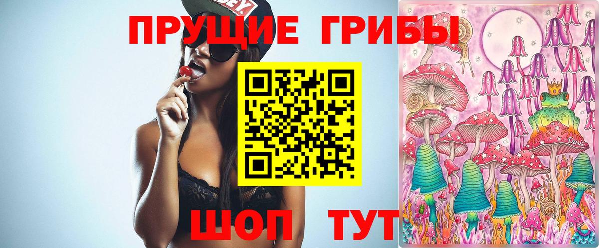 Псилоцибиновые грибы Psilocybine cubensis  Вход с VPN  Галлюциногенные грибы MAGIC MUSHROOMS  Соль-Илецк 